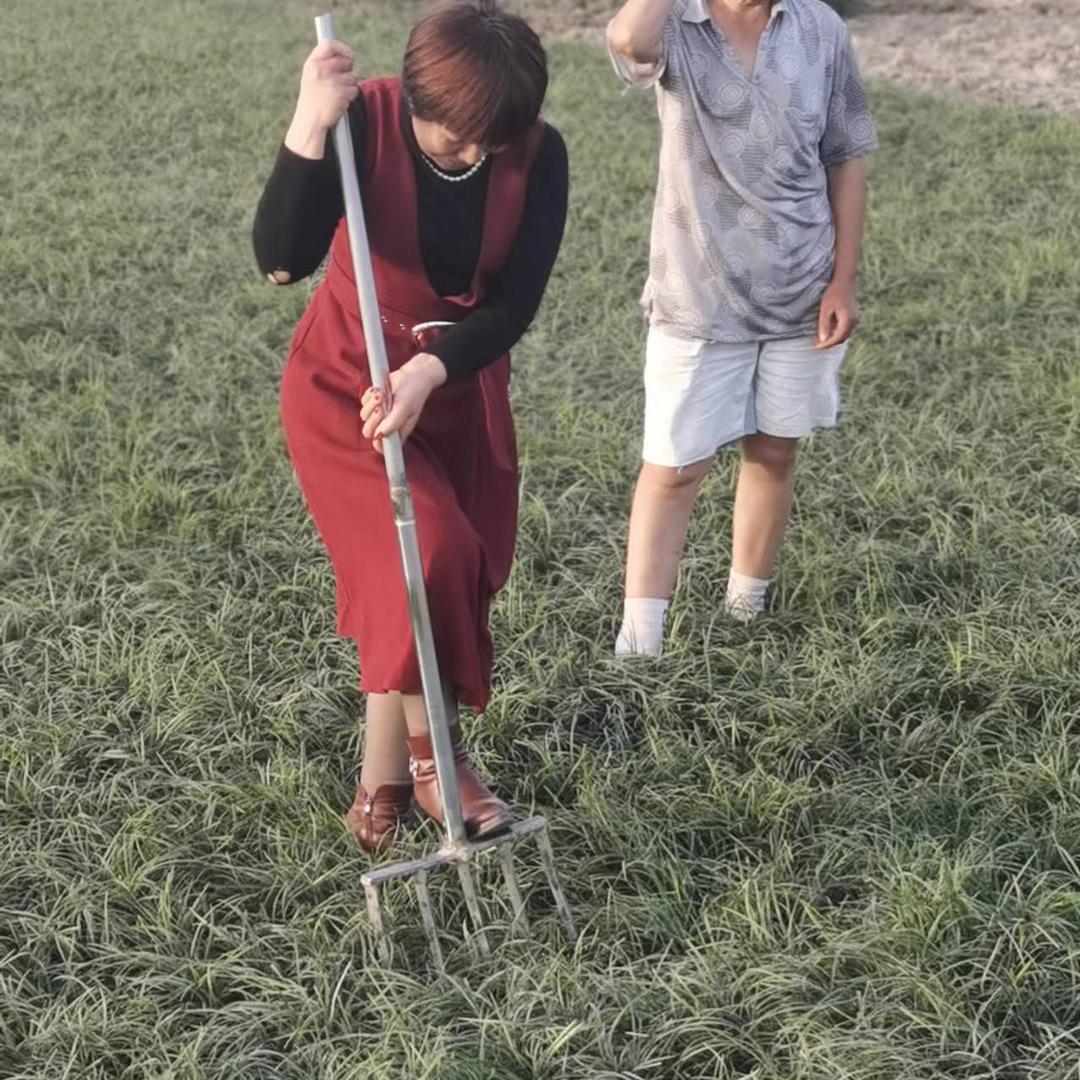 麦冬皇后