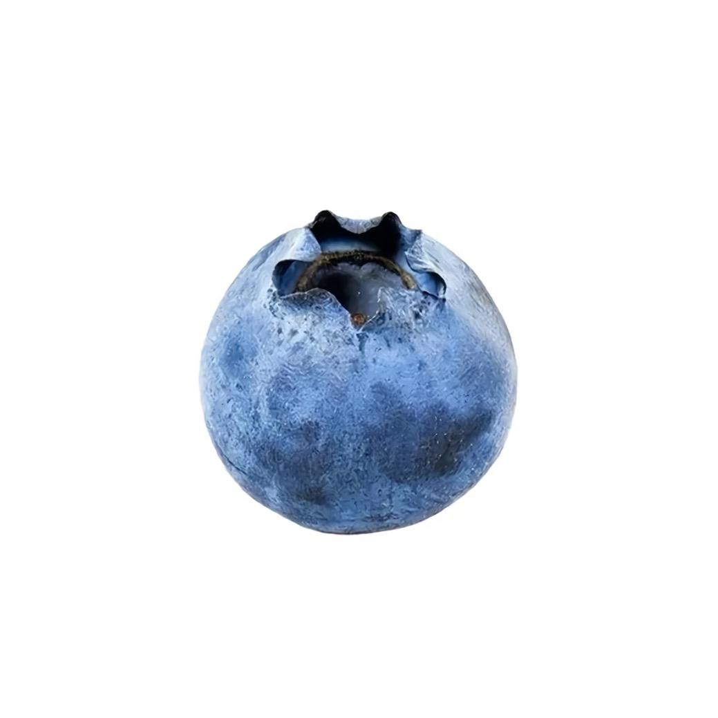 花匠