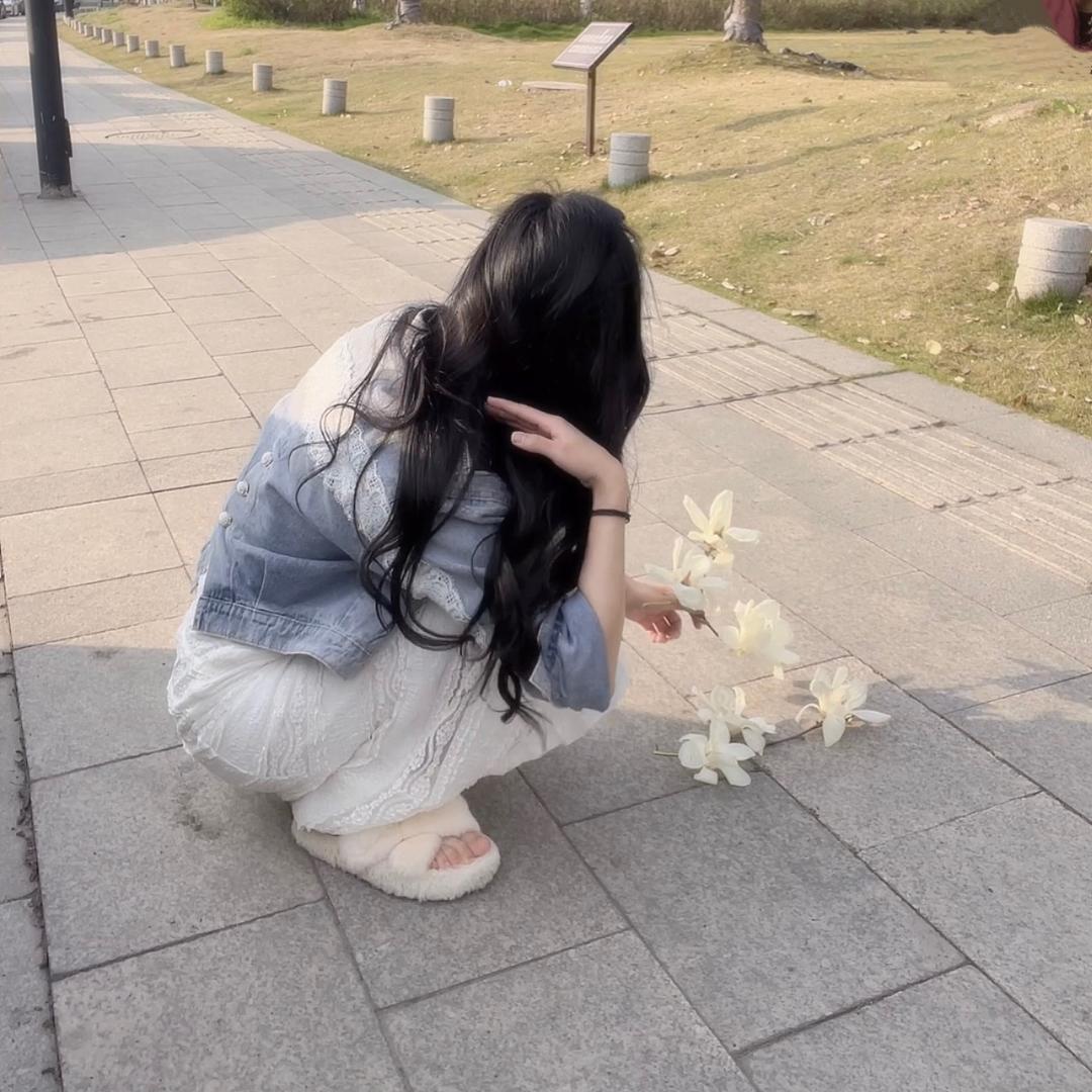 七琪