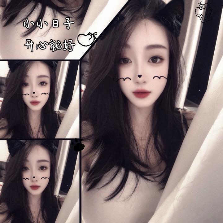 家有球宝
