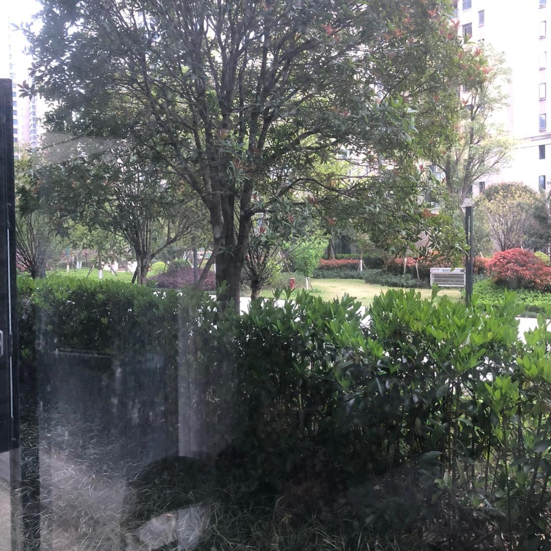 分享祛斑血泪史