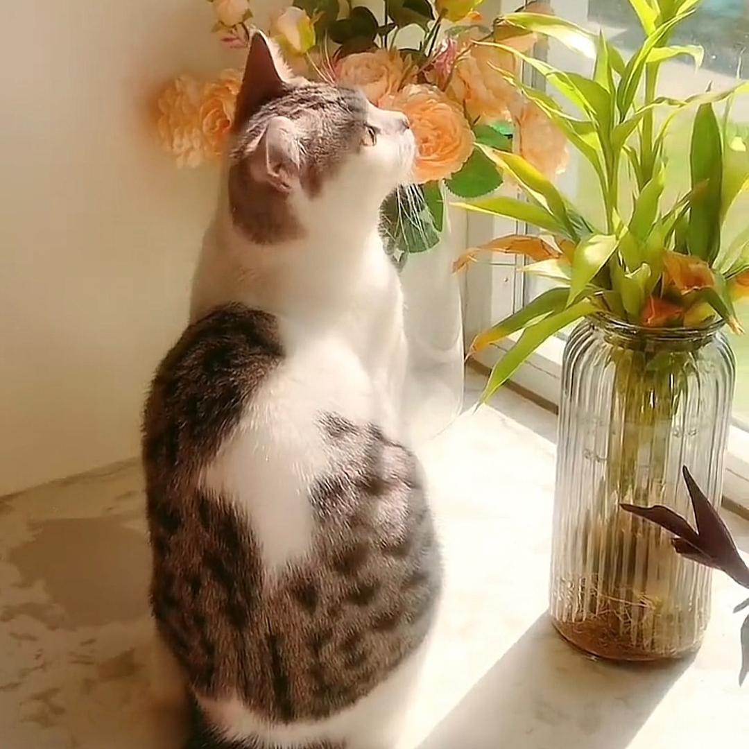 ☀️晴天☀️