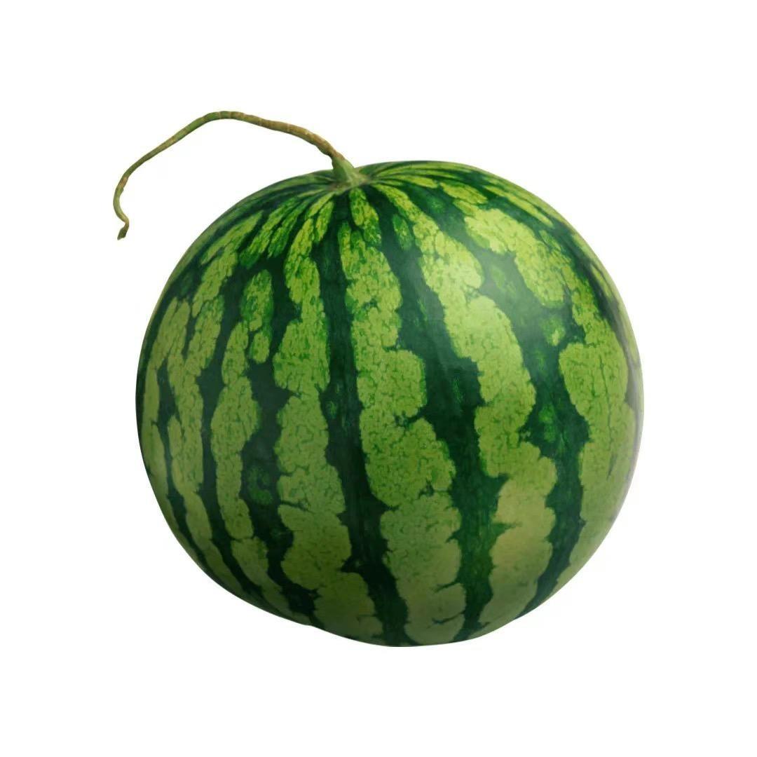 西瓜西瓜🍉