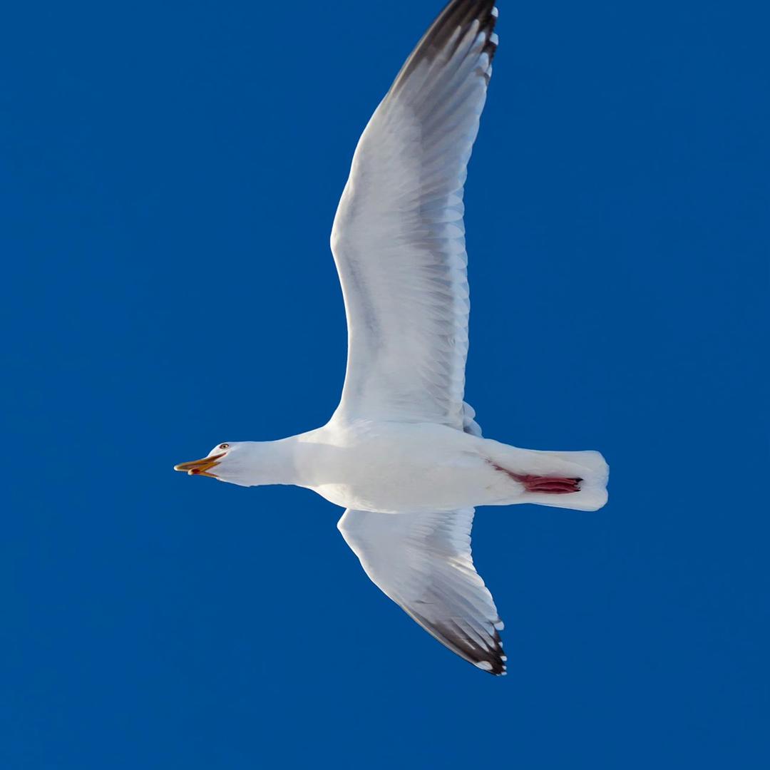 吾日三省吾身！