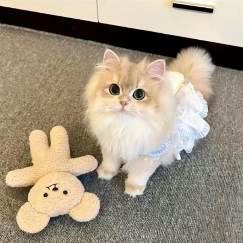 鹤祥宫优城店26号