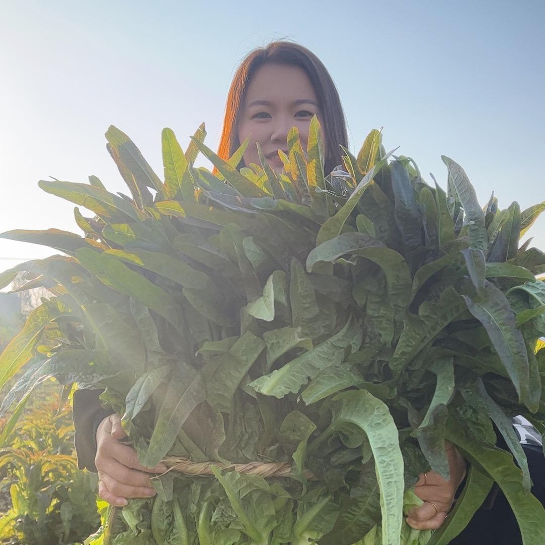 芷鑫悦生鲜