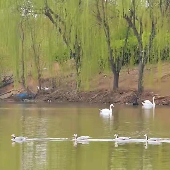 阳光
