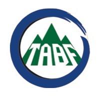 泰安北方二手车