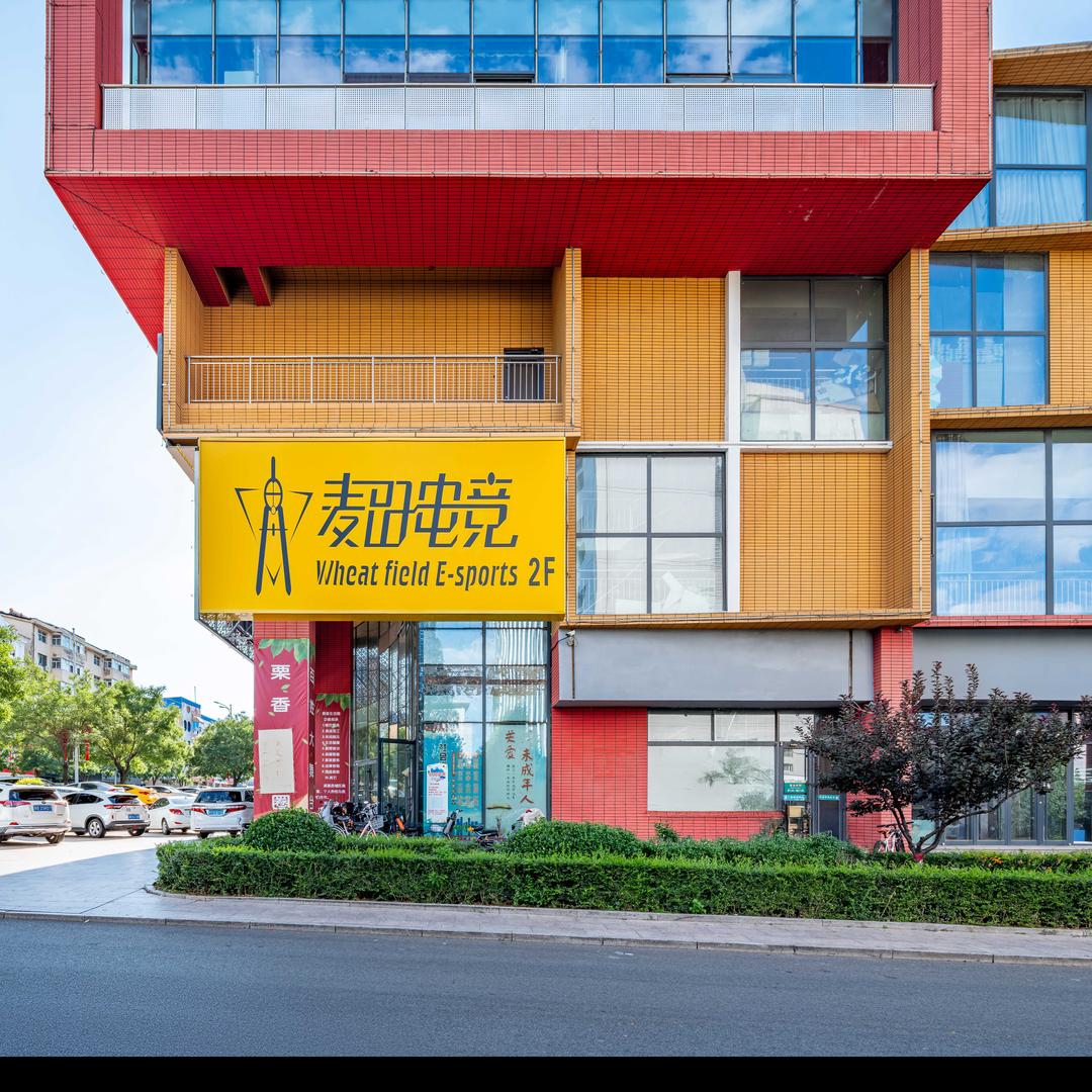 麦田电竞
