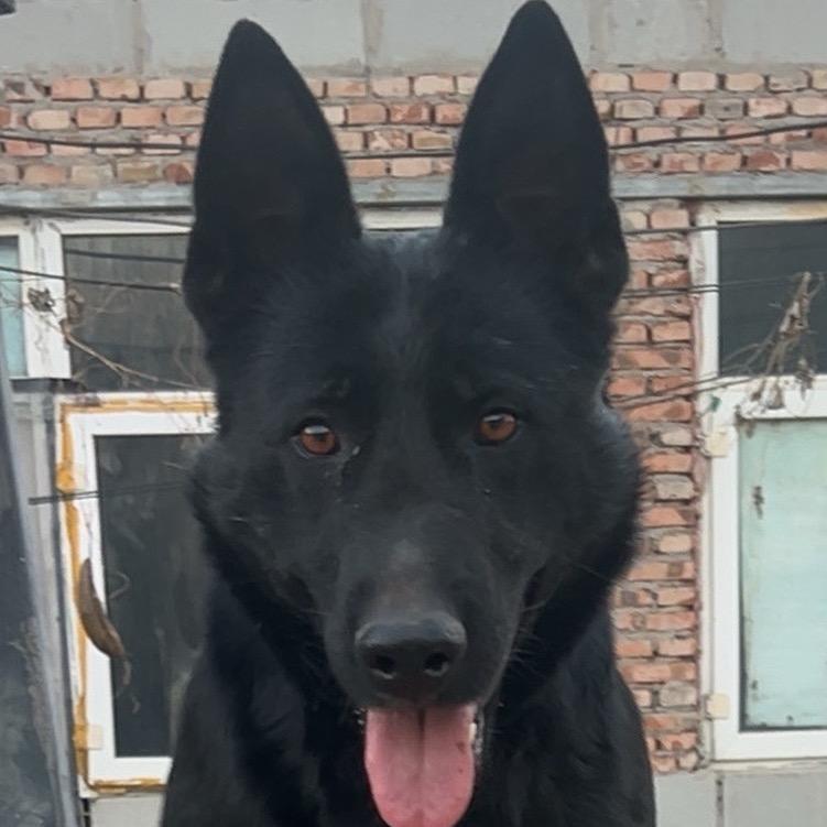 再生资源回收发展与利用