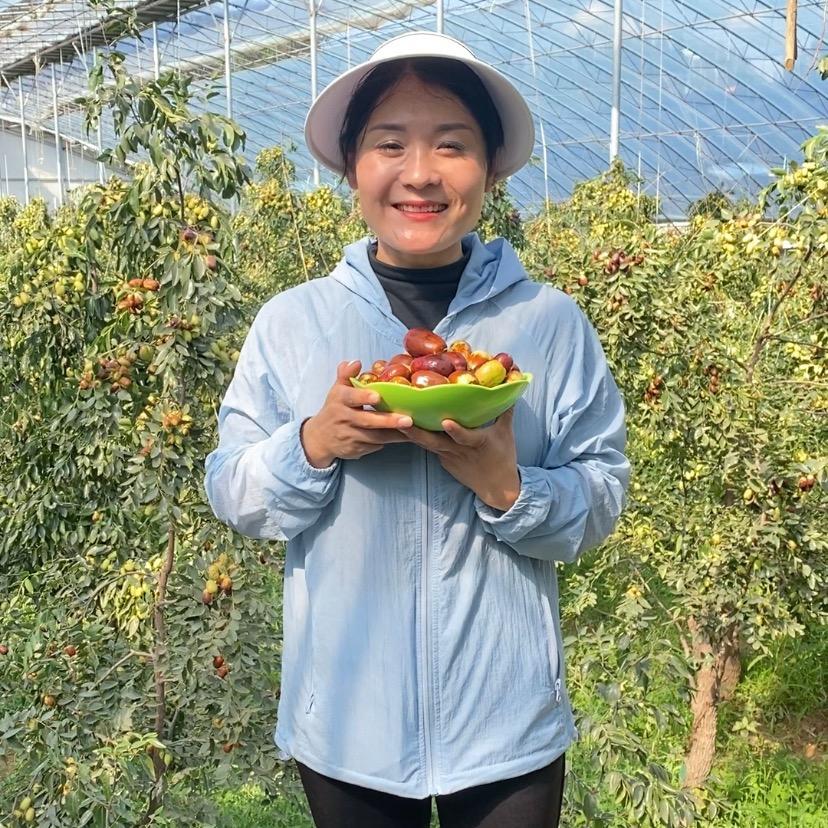 小花家的灵武长枣