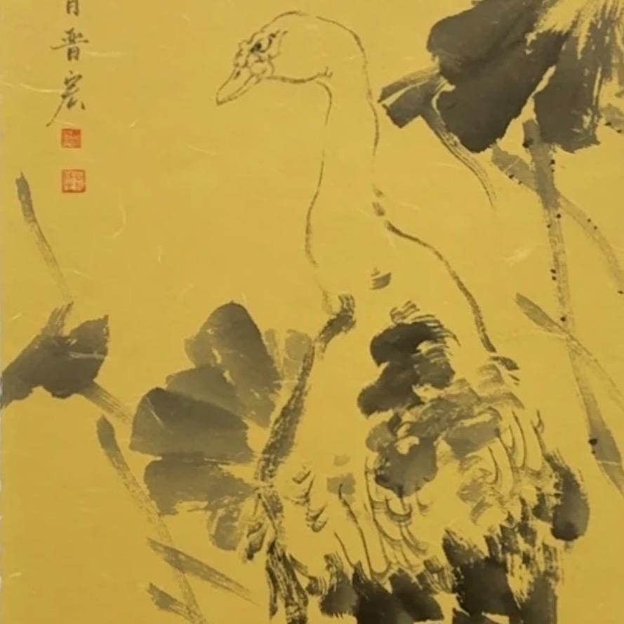 苍天鸭