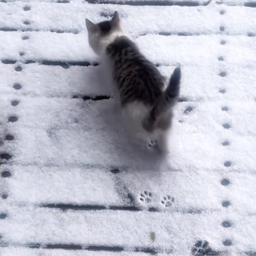 ㅤㅤㅤㅤㅤㅤ ᅠᅠ