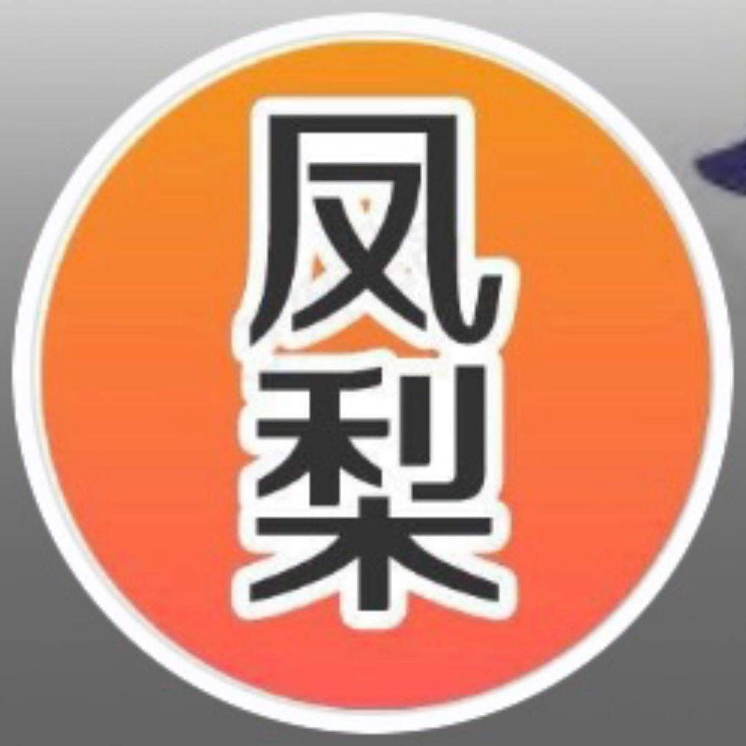 南通凤梨人力资源服务有限公司