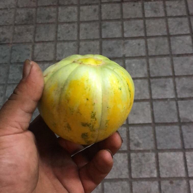 小小伟