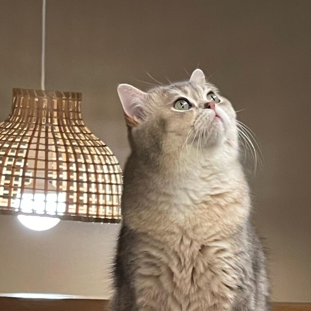 睡够三百六十天