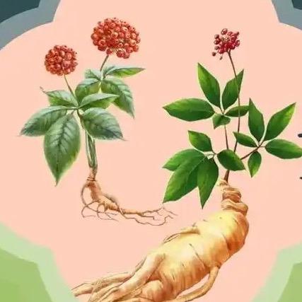 识百草