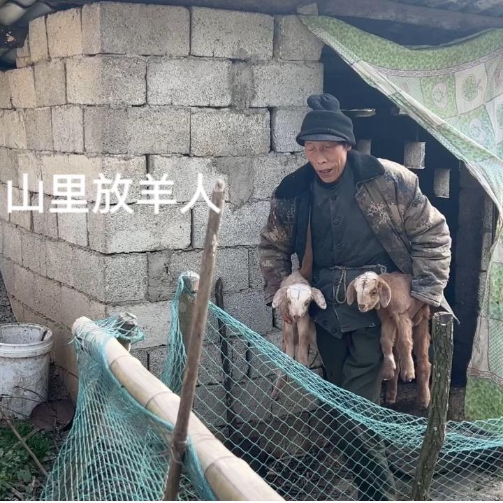 陕南小波农产品