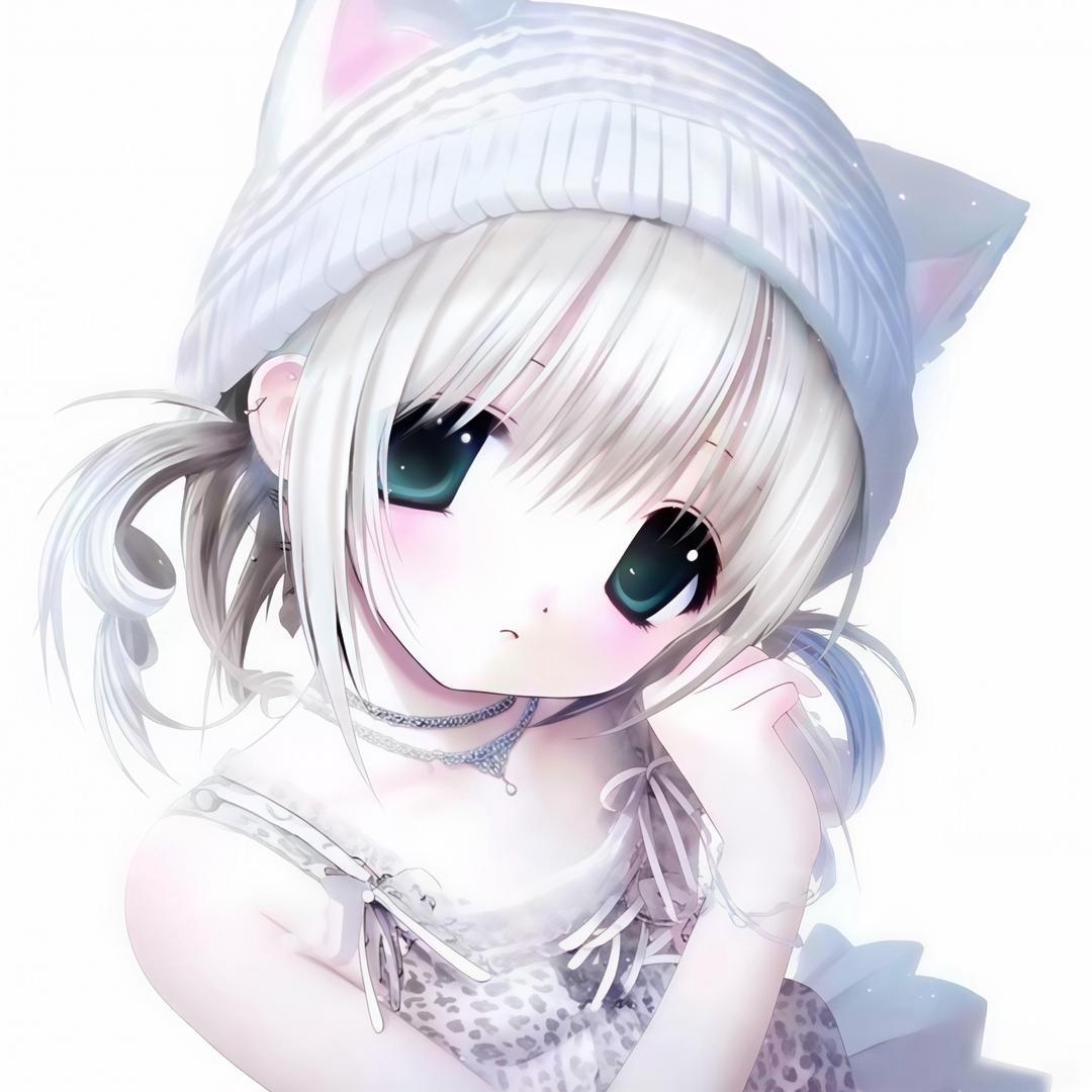 坏貓