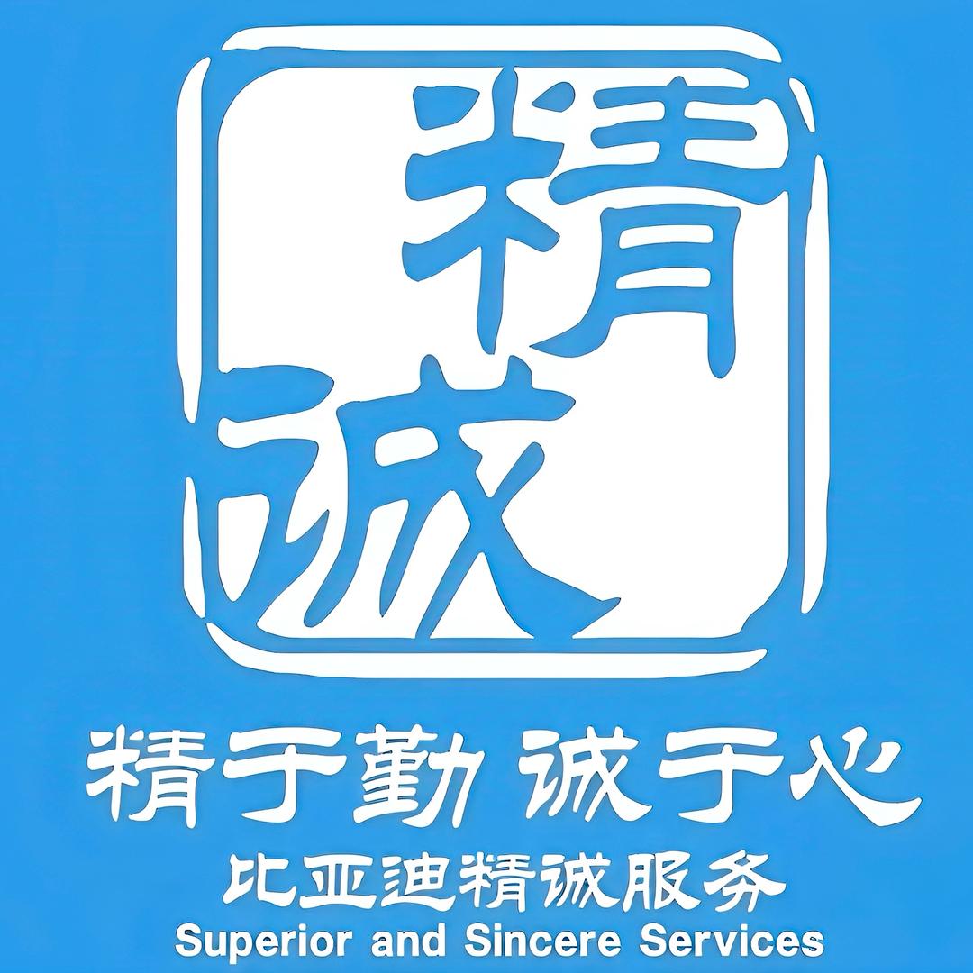 比亚迪临沂盛世鑫源河东店