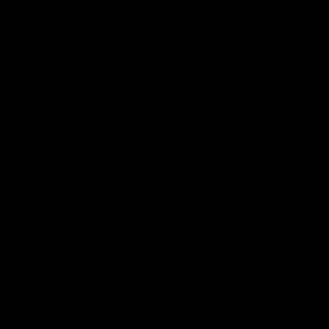 ziran