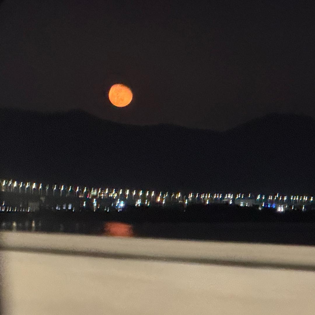 海里星丶