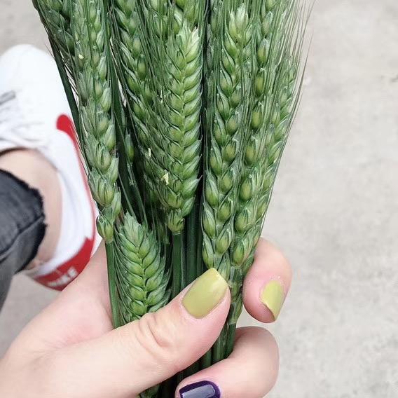 世纪缘珠宝北宸龙湖店常喜💰