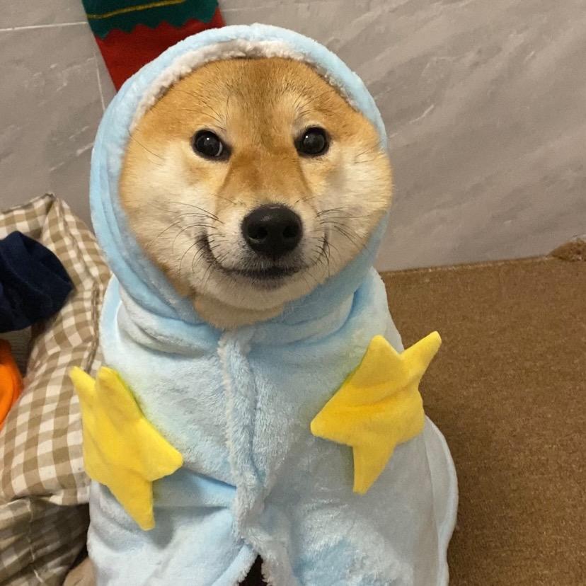 丸子🍡