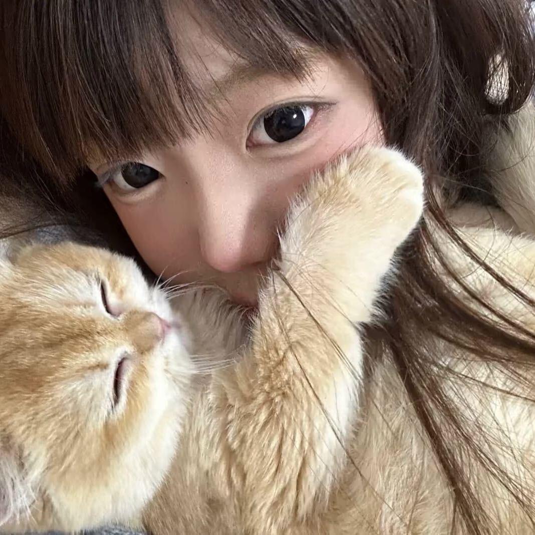 七分糖