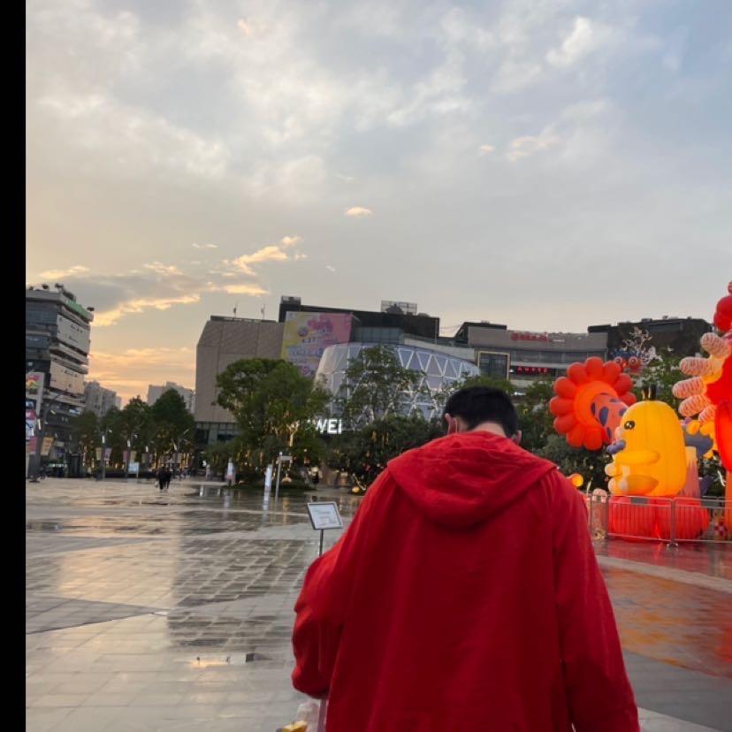 邹律来也(日理万猫)