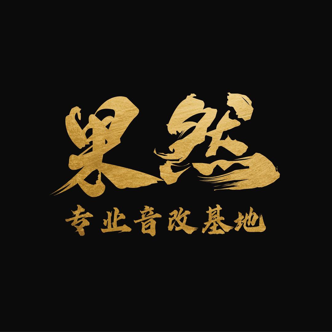 珠海果然专业汽车音改