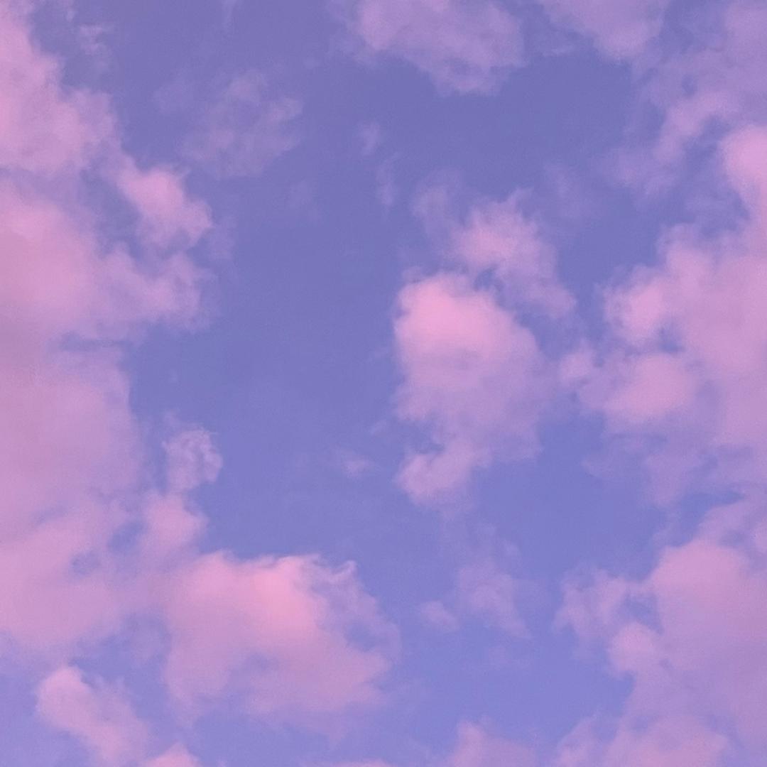 朵朵