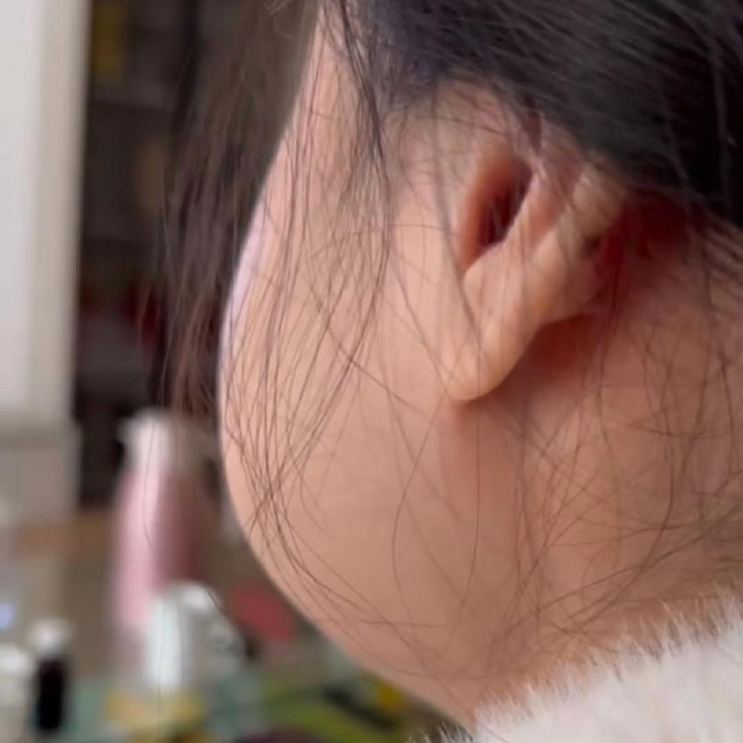 垂杨柳