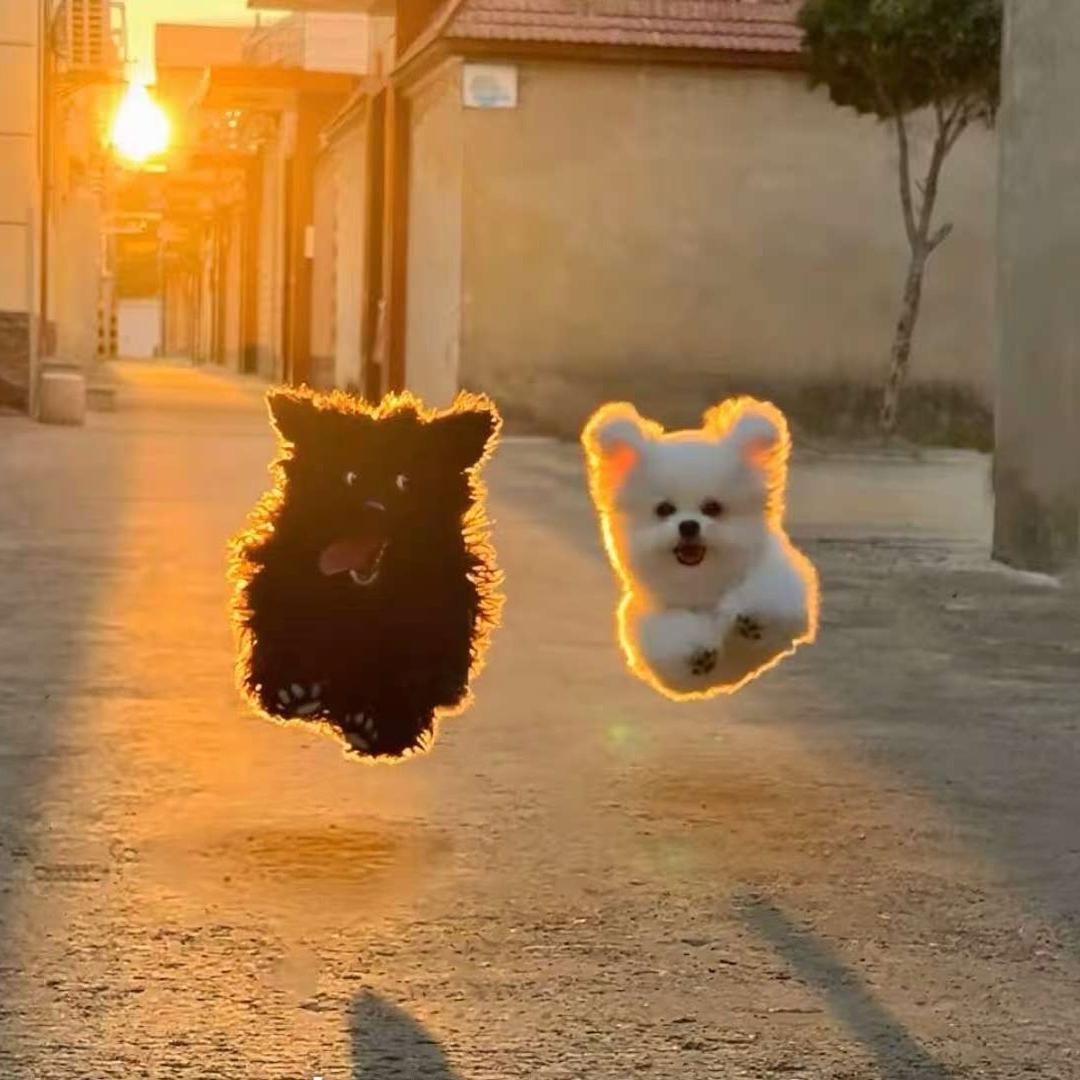 布小新