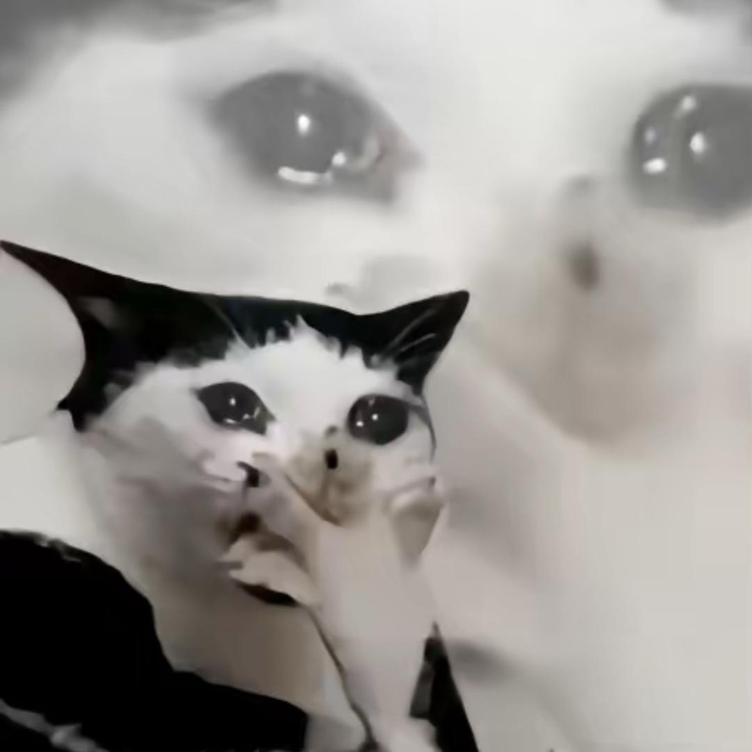 迪克伦