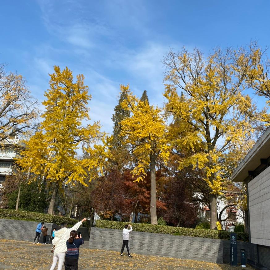 霞