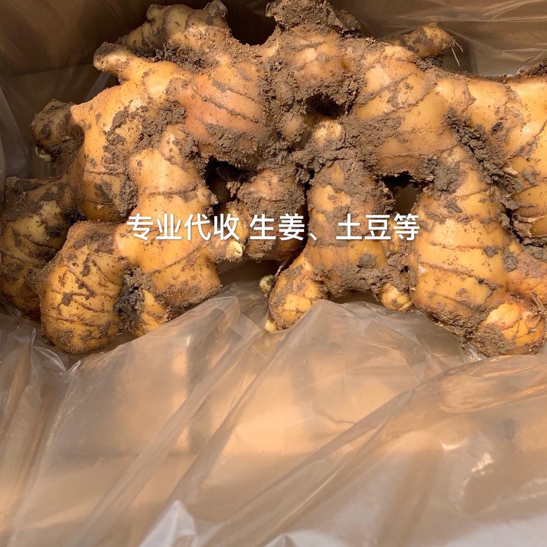➠千祥云集✔