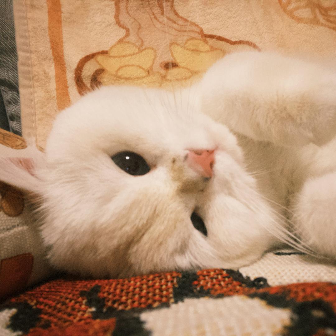 不愿意透露姓名的十八