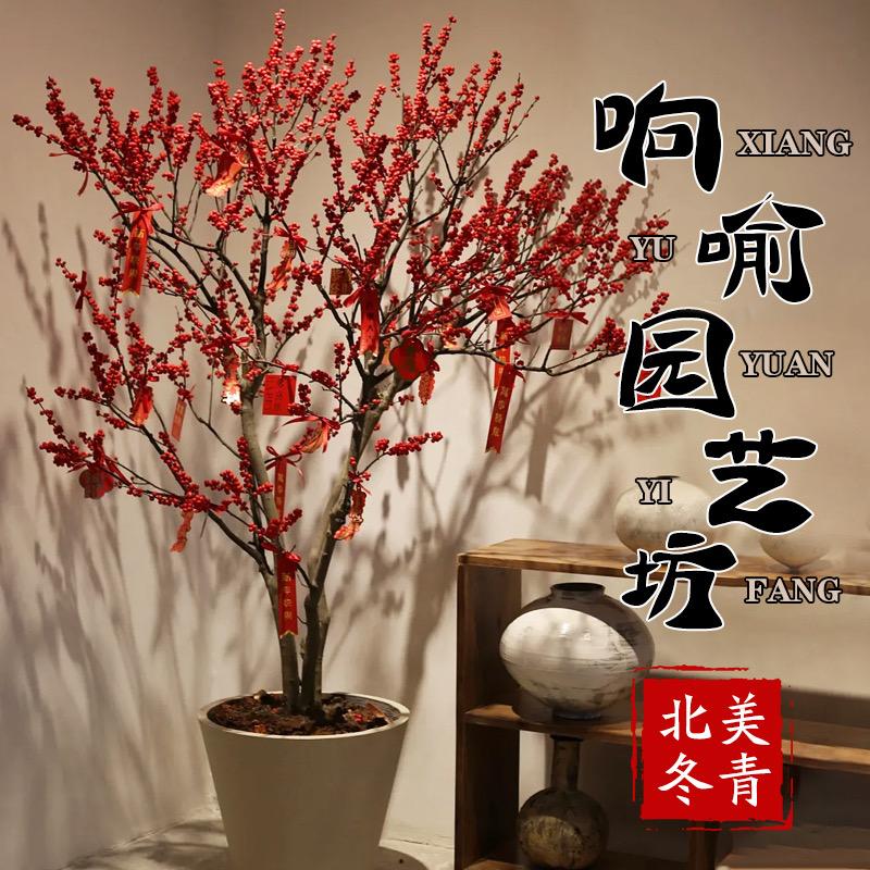 响瑜园艺坊
