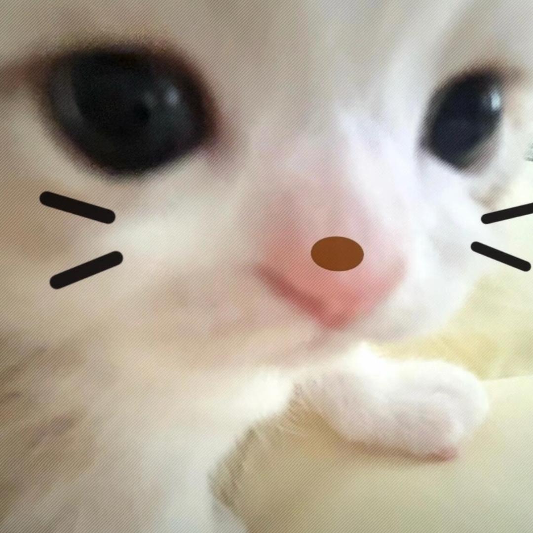 悲伤小曲奇