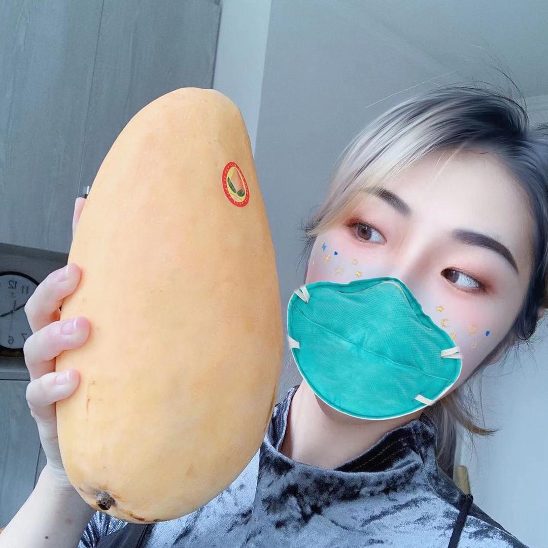莓發鹿水果姿造