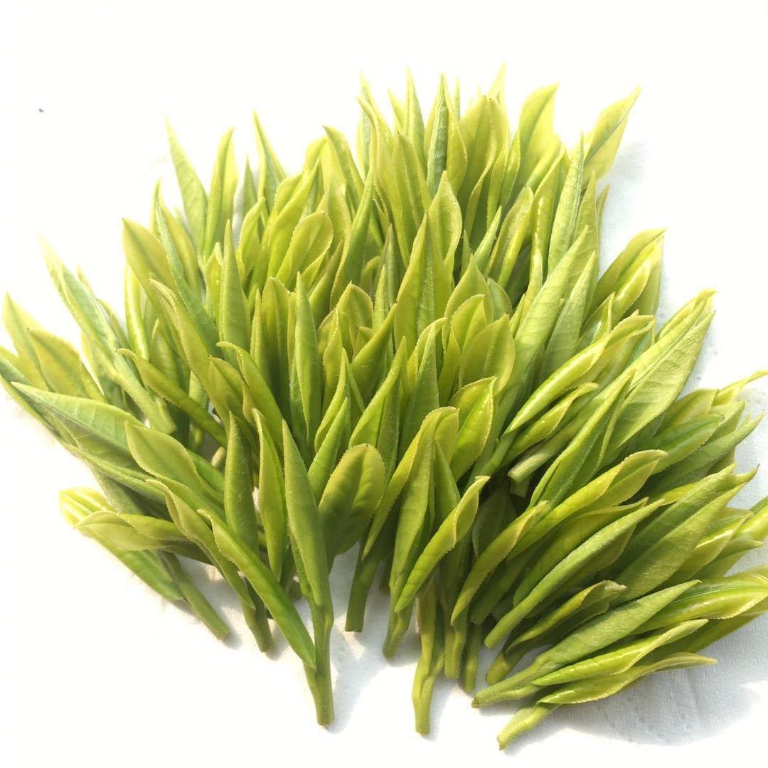 蔡蔡·「有茶」🍵