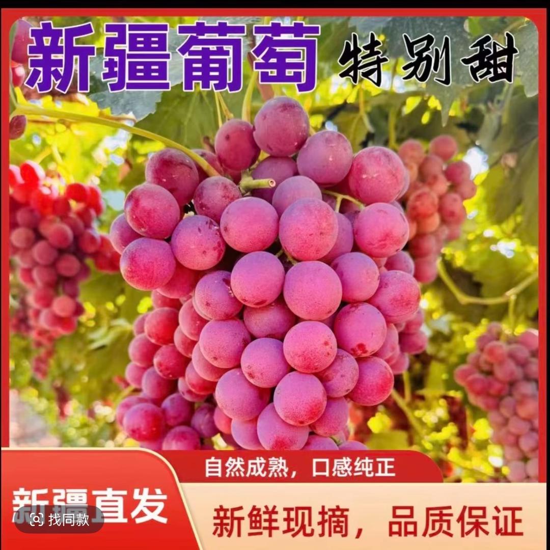 泰国金枕榴莲基地