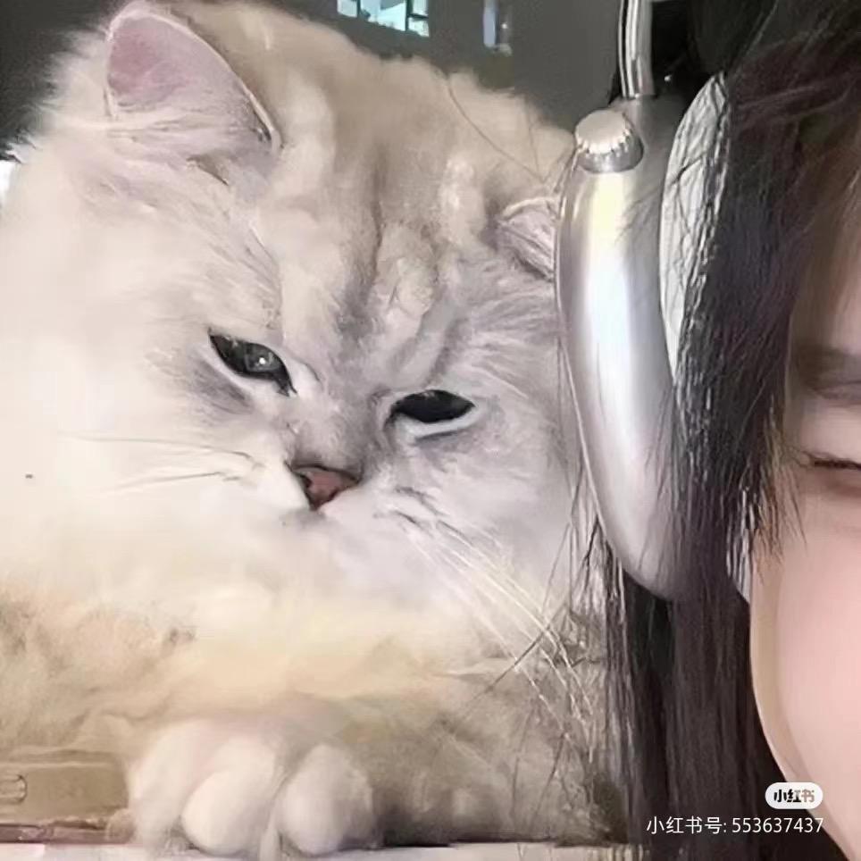 开心的火龙果