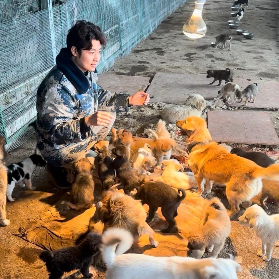 丝城流浪狗小院（元宝）