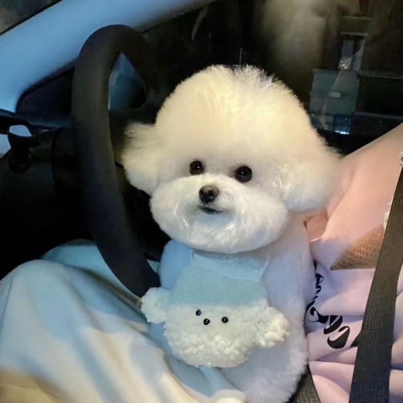 冰爆葡萄冰五分糖