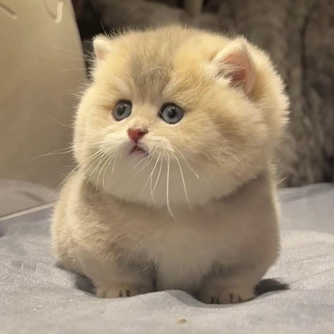 诗酒赋