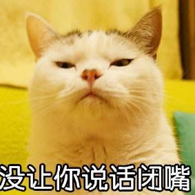 傲云医药公司的孟惜头像