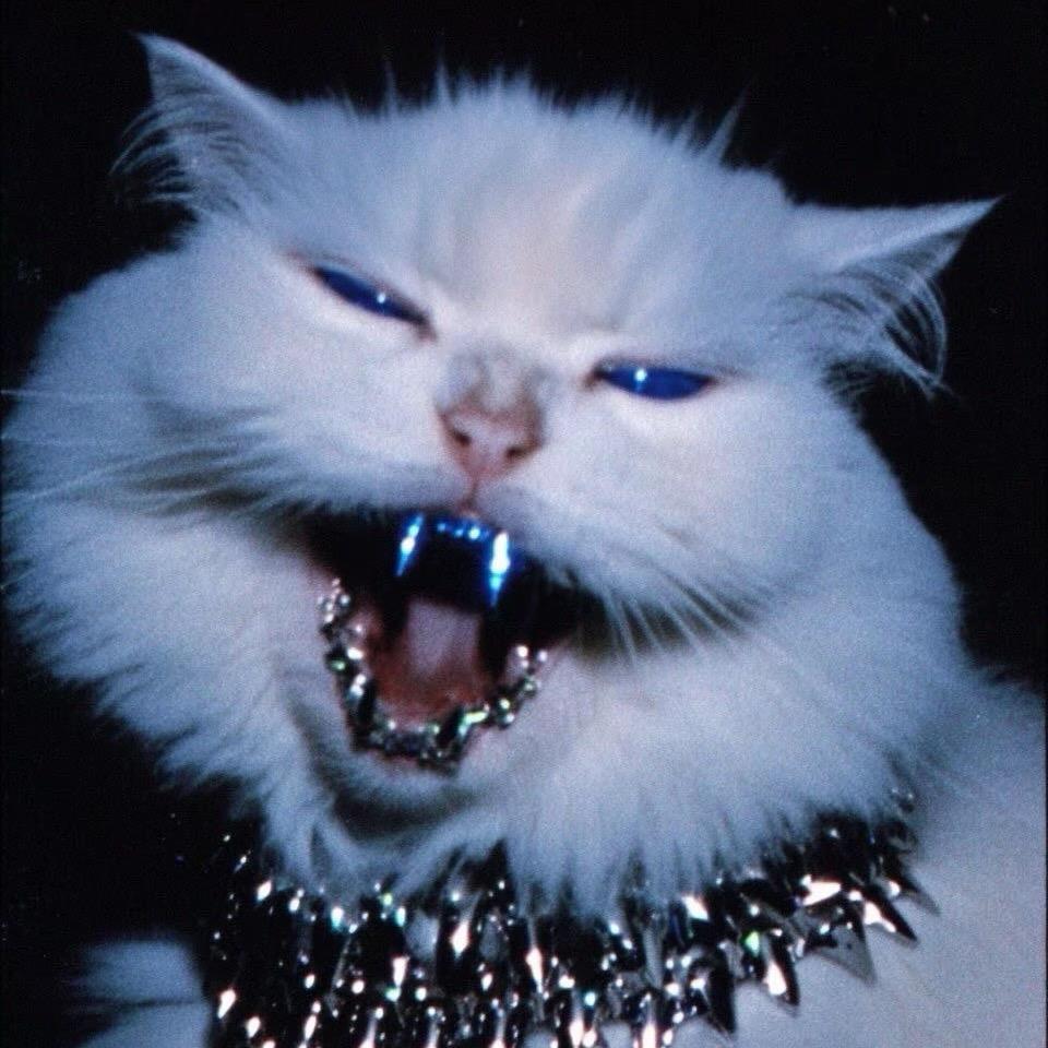 提灯笼的熊猫