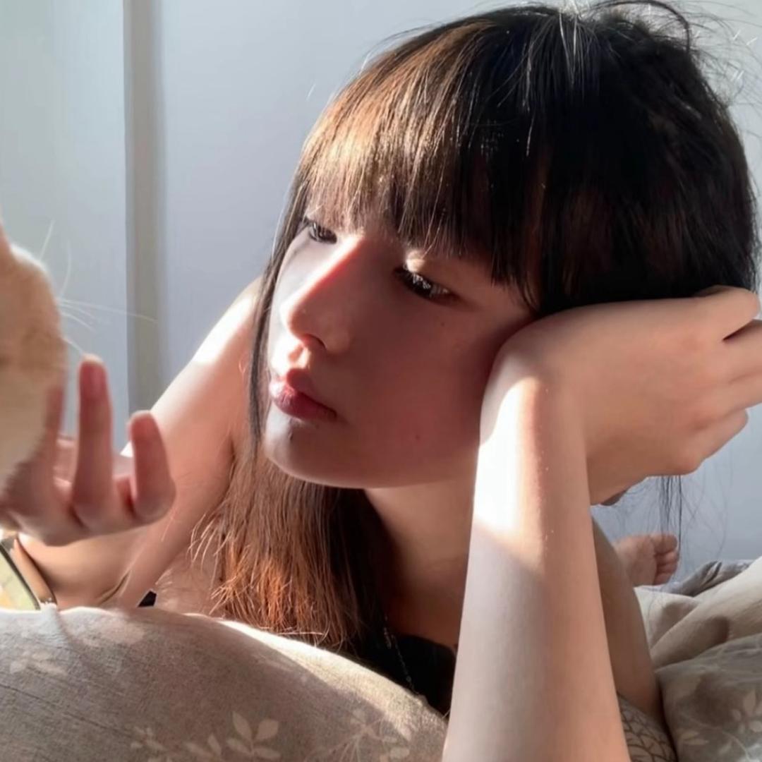 忧伤的猪